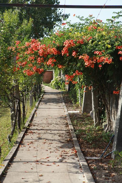 MuroQuinta De Santo Antonio别墅 外观 照片